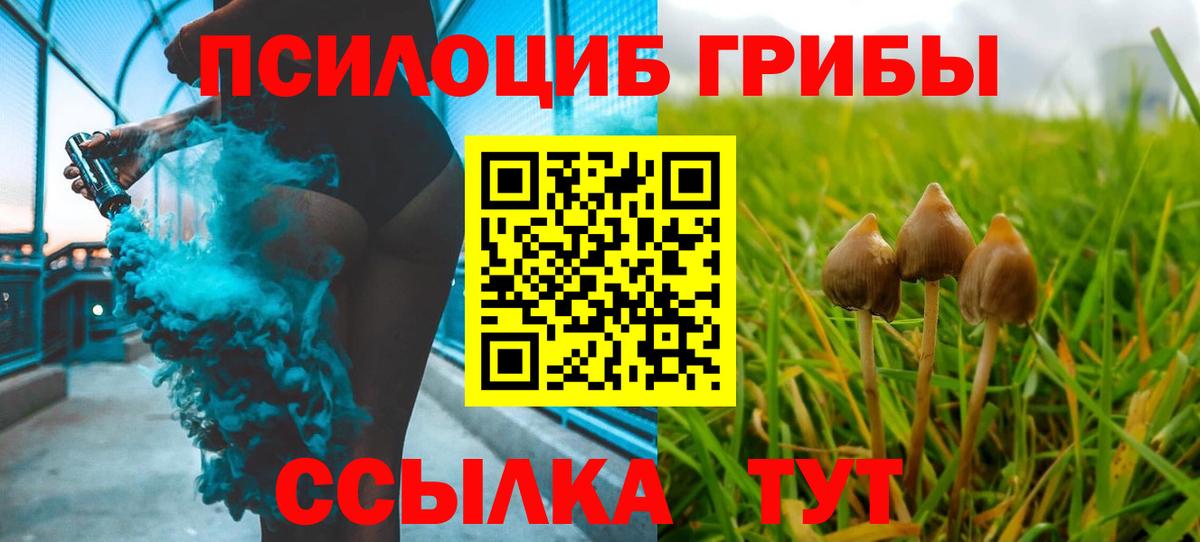 Псилоцибиновые грибы Cubensis Орехово-Зуево