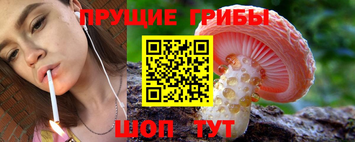 Орехово-Зуево  наркошоп  Вход с VPN  Галлюциногенные грибы Cubensis  Галлюциногенные грибы Psilocybe 